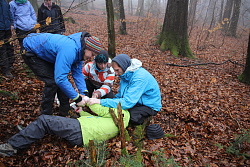 Das Bild zeigt Teilnehmer, die bei der Fortbildung "Outdoor-Erste-Hilfe" des Kinder- und Jugendbüros einen Verletzten im Wald versorgen.